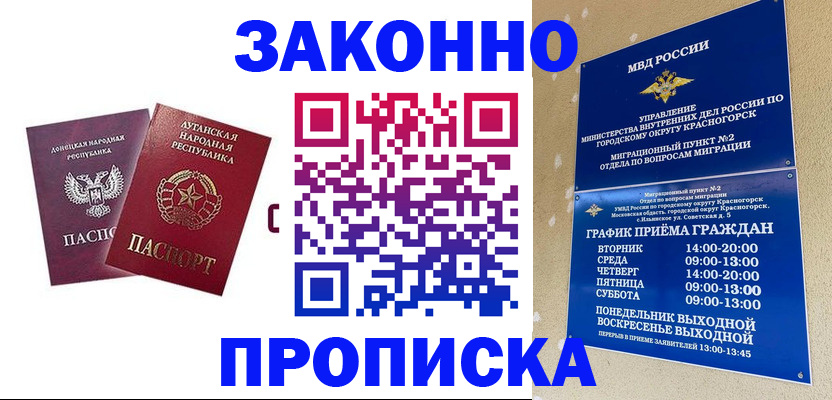 прописка в Шагонаре